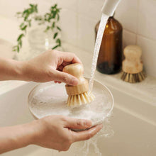 Load image into Gallery viewer, Pots &amp; Pans Scrubbing Brushes (Set of 2)
