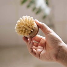 Load image into Gallery viewer, Replacement Heads for Long Handle Dish Brush (Pack of 4)