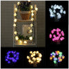 Load image into Gallery viewer, Home Decoration 20 LED Battery Box Garden Christmas Sepa Takraw Rose String Lights